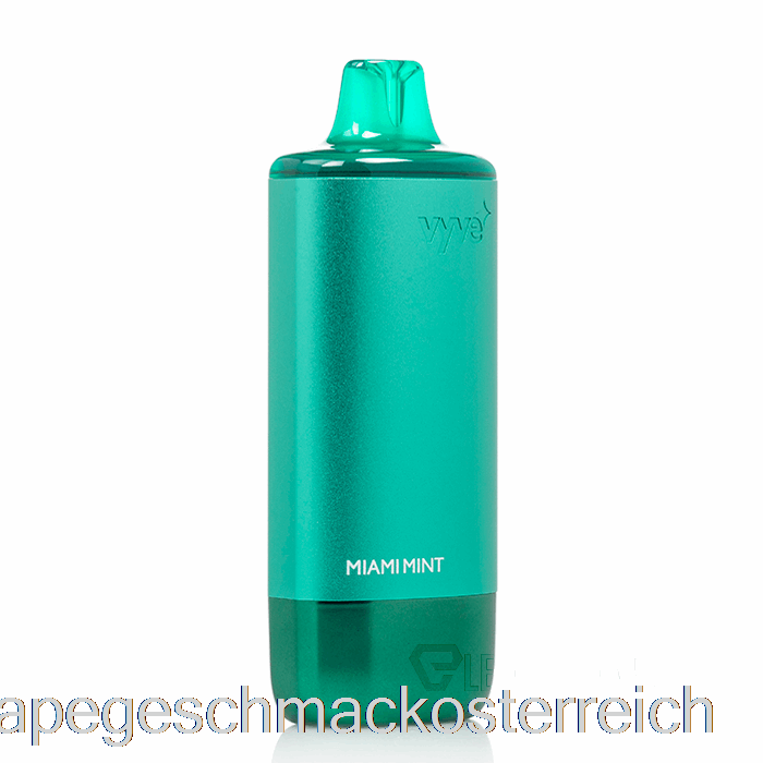 Vyve 10000 Einweg-Miami-Mint-Vape-Geschmack